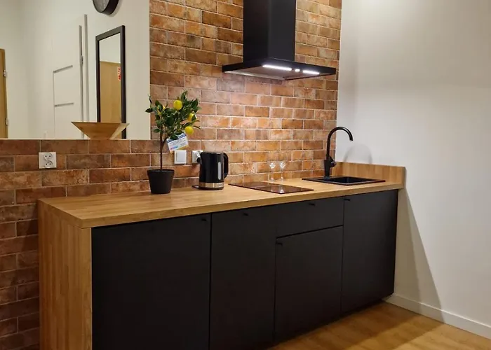 Apartament śródmieście Bastion Wałowa - Free Parking